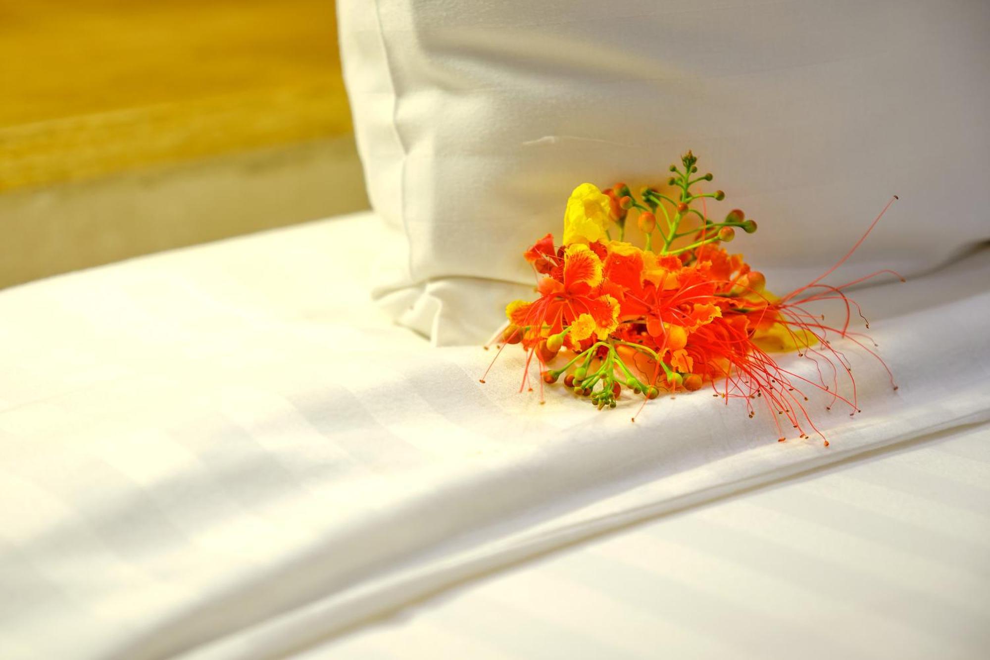 Hotel Royam Saly Portudal Dış mekan fotoğraf